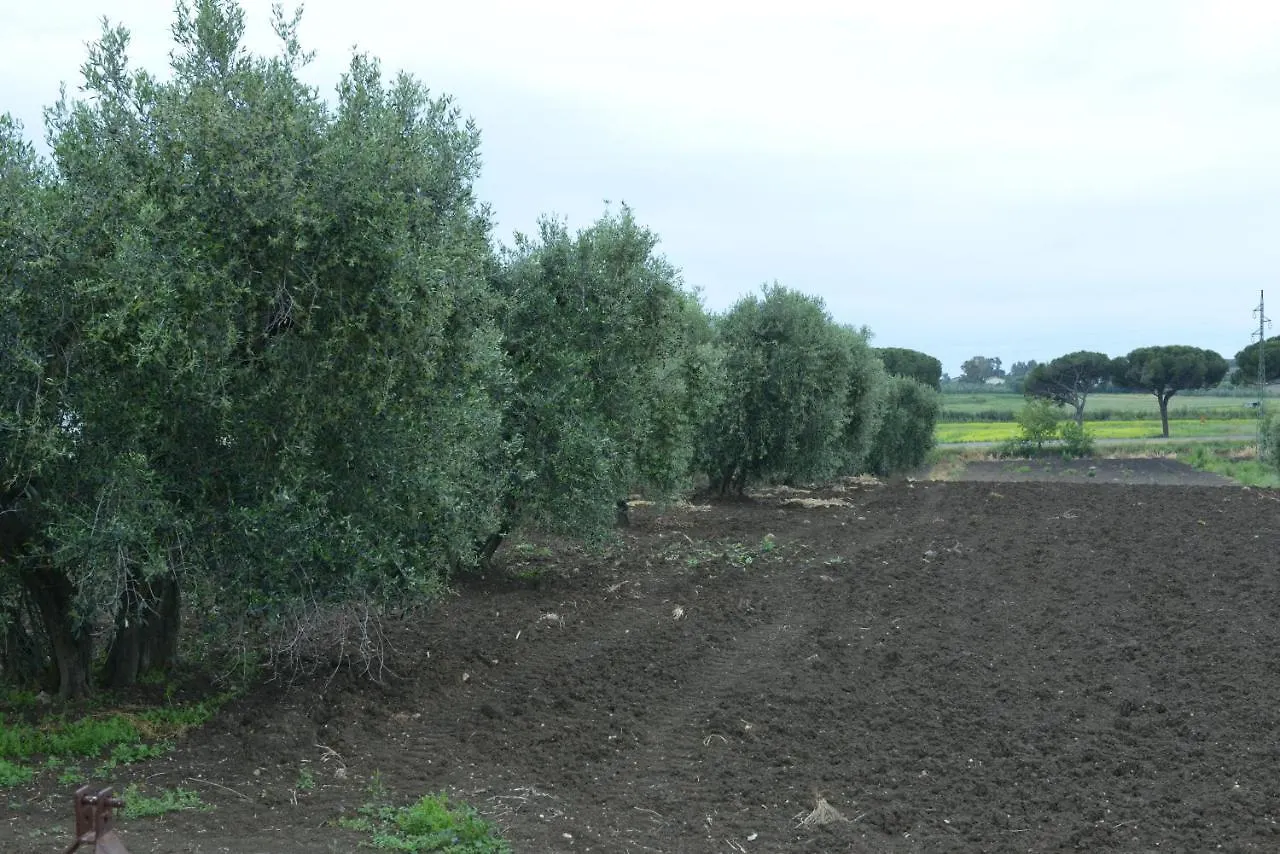 Nato Contadino Vila Capalbio Alojamento de Turismo Rural