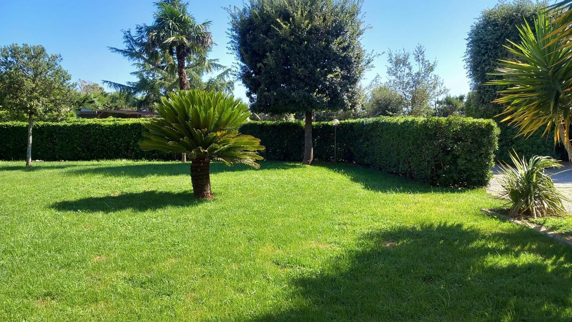 Vakantieboerderij Nato Contadino Villa Capalbio Italië